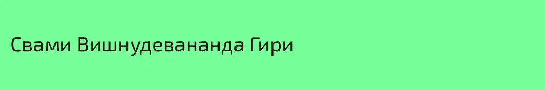 Свами Вишнудевананда Гири